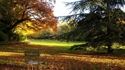 France paris luxembourg park autumn chair 4k wallpaper