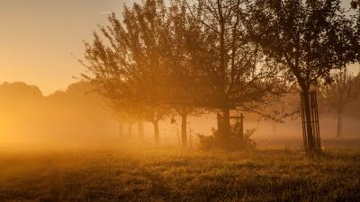 Garden sunset sun 4k wallpaper