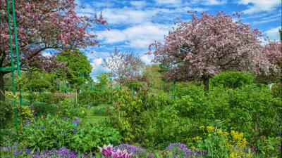 Garden trees flowers shrubs landscape hd 4k wallpaper