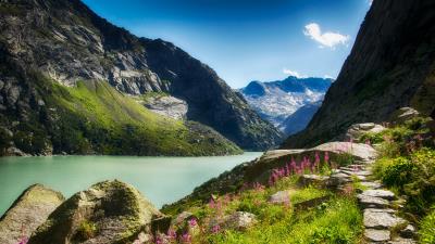 Gorge river mountains flowers sunny stones 4k wallpaper