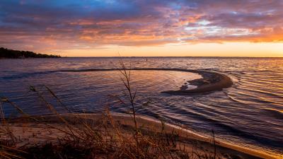 Grass branch river 4k wallpaper