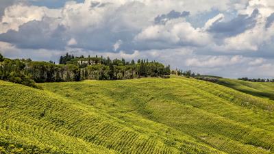 Grass field hill 4k wallpaper