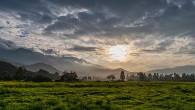 Grass hills trees 4k wallpaper