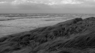 Grass sea coast 4k wallpaper