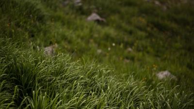 Grass stones mountains 4k wallpaper