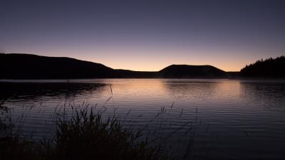 Grasses dusk lake 4k wallpaper