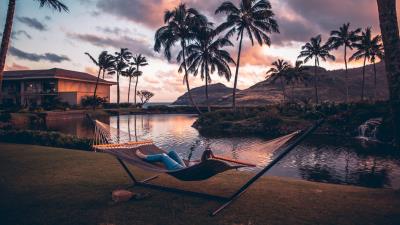 Hammock lake palm trees 4k wallpaper
