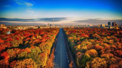 Highway through Autumn Forest Wallpaper 4k wallpaper