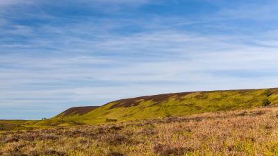 Hill field grass 4k wallpaper