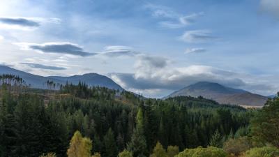 Hill forest trees picture 4k wallpaper