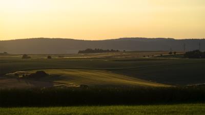 Hill grass field 4k wallpaper