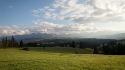 Hill meadow grass 4k wallpaper