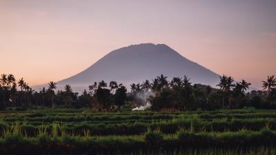 Hill palm river 4k wallpaper