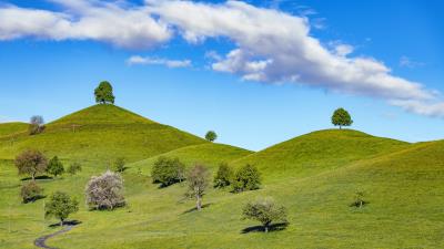 Hill trees path 4k wallpaper
