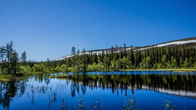 Hill trees reflection 4k wallpaper