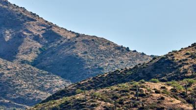Hills cacti bushes 4k wallpaper