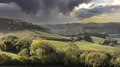 Hills fields trees 4k wallpaper