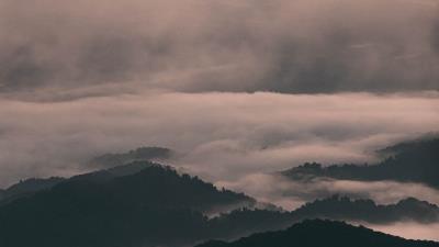 Hills fog trees picture 4k wallpaper