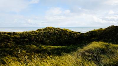 Hills grass coast 4k wallpaper