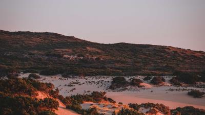 Hills relief bushes 4k wallpaper