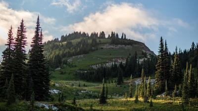 Hills spruce lake 4k wallpaper