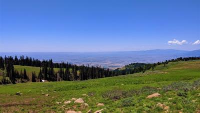 Hills spruce stones 4k wallpaper