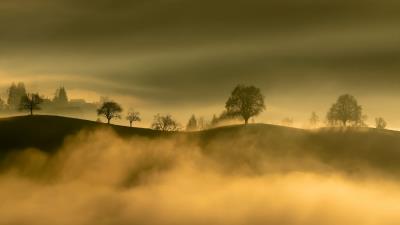 Hills trees fog picture 4k wallpaper