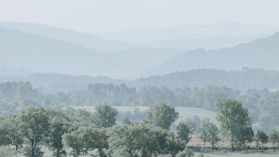 Hills trees fog 4k wallpaper
