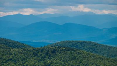 Hills trees forest 4k wallpaper