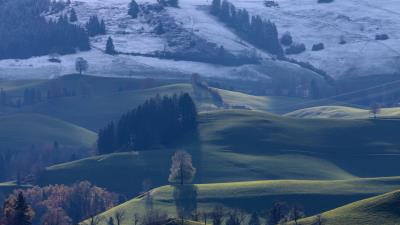 Hills trees landscape photo 4k wallpaper