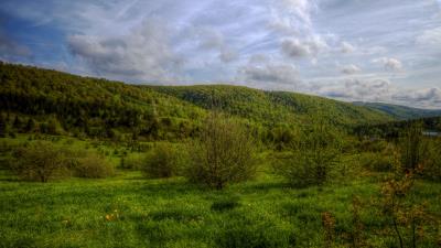 Hills trees sky landscap 4k wallpaper