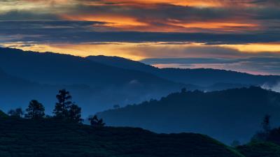 Hills trees sunset 4k wallpaper