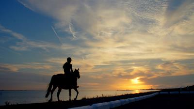 Horseback rider girl silhouette horse lake border 4k wallpaper