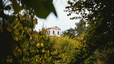 House building bushes 4k wallpaper