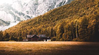 House forest mountains 4k wallpaper