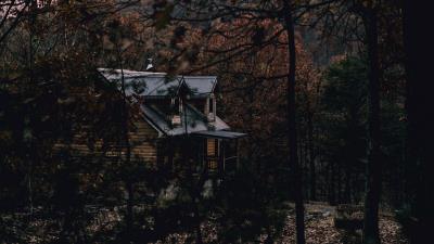 House forest trees 4k wallpaper