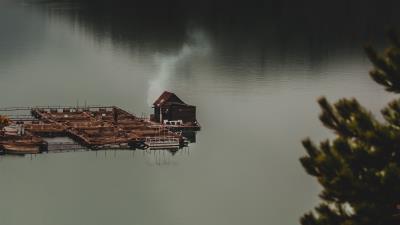 House lake forest 4k wallpaper