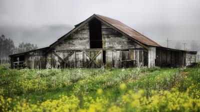 House shed thrown garden cloud 4k wallpaper
