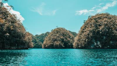 Islands trees water 4k wallpaper