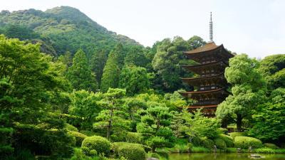 Japan yamaguchi pond trees 4k wallpaper