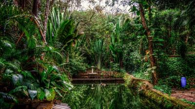 Lagoon trees green 4k wallpaper