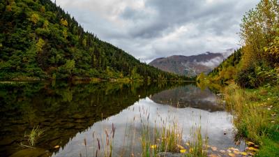 Lake grass mountains 4k wallpaper