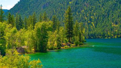 Lake houses forest 4k wallpaper