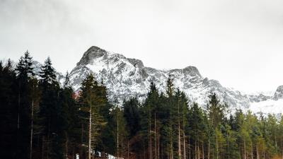 Lake mountains forest photo 4k wallpaper