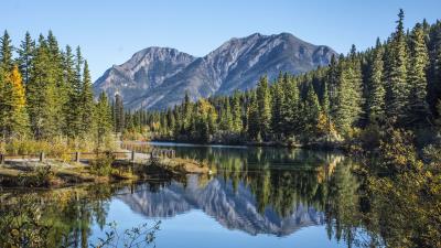 Lake mountains spruce image 4k wallpaper