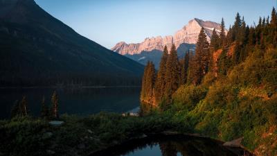 Lake mountains spruce 4k wallpaper