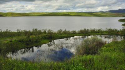 Lake pond sky grass nature 4k wallpaper