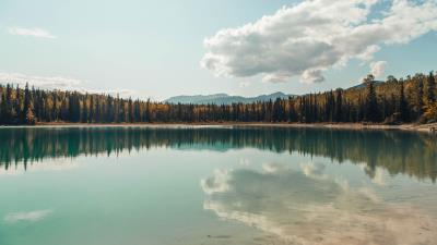 Lake shore trees image 4k wallpaper