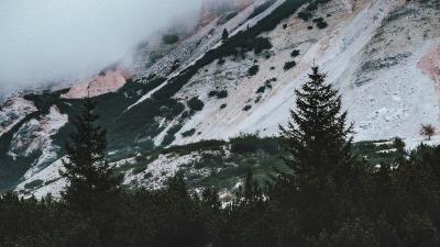 Lake spruce trees image 4k wallpaper