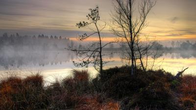 Lake sunset fog trees landscap 4k wallpaper